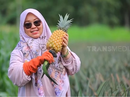 Kisah Sukses Azizah Pengusaha Minuman Nanas dari Blitar, Punya Omzet Miliaran