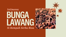 INFOGRAFIS: Istimewa Bunga Lawang, Si Rempah Serba Bisa