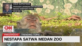 VIDEO: Nestapa Satwa Medan Zoo