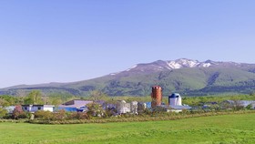 Temukan Keindahan Hokkaido dengan Private Tour Jepang