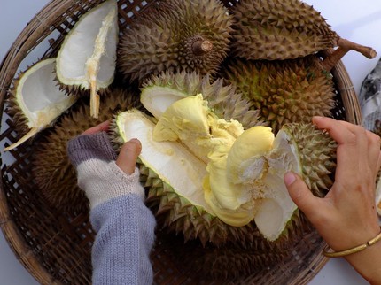 Aturan Ibu Menyusui Makan Durian agar Tak Pengaruhi ASI