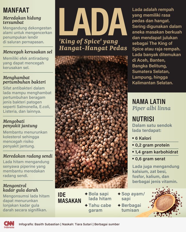 Lada adalah rempah yang dijuluki sebagai The King of Spice atau raja rempah, berikut khasiatnya.