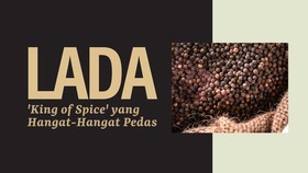 INFOGRAFIS: Lada 'King of Spice' yang Hangat-Hangat Pedas