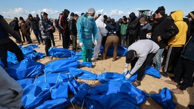 Nyaris 5 Bulan Agresi Israel, Korban Tewas di Gaza Tembus 29 Ribu Jiwa