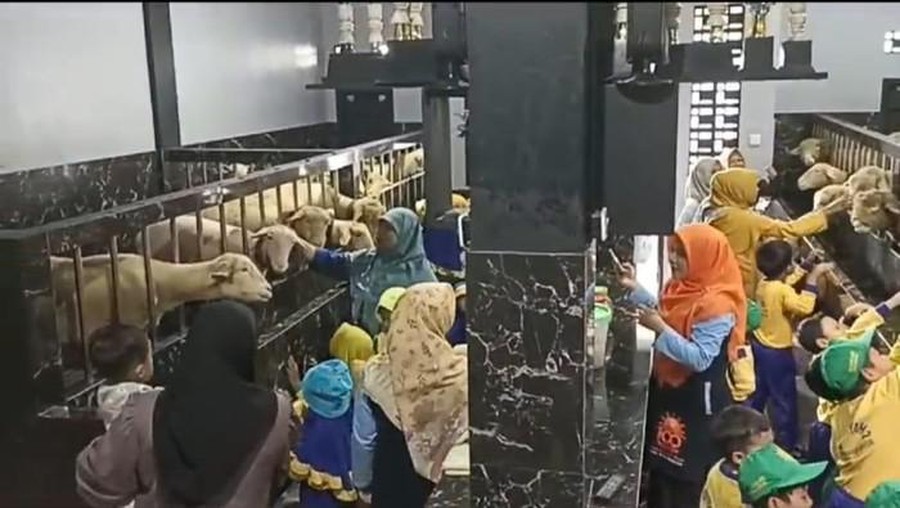 Kandang Domba Viral Kandang Domba Viral