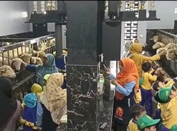 Viral Kandang Domba Mewah Rp500 Juta, Begini Cerita Sang Pemilik