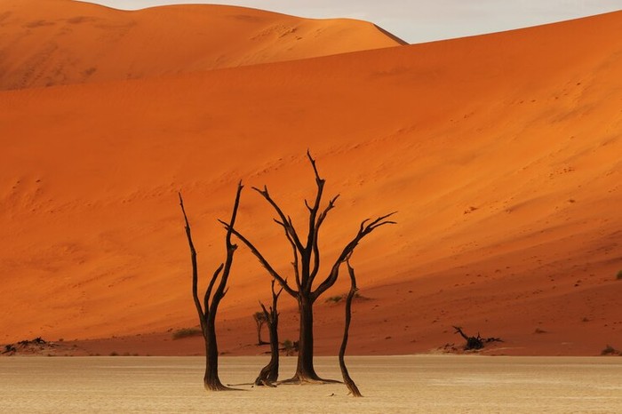Tempat Terpanas di Dunia, Suhunya Tembus 70 Derajat Celsius!