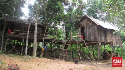 Warga Suku Anak Dalam di kawasan hutan Jambi menceritakan bagaimana mereka tak tersentuh keriuhan janji caleg dan peserta Pilpres 2024.