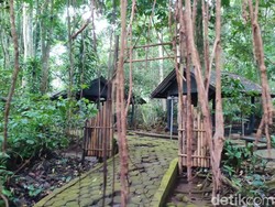 Si Tempang, Sang Penjaga Wilayah Kawali Galuh Ciamis