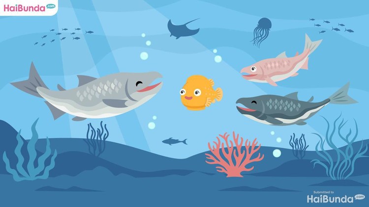 Dongeng Anak: Persahabat Ikan Salmon & Lumpfish