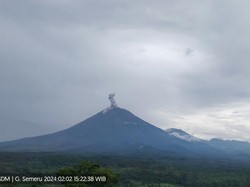 Gunung Semeru Erupsi Muntahkan Abu Vulkanik Setinggi 1.300 Meter