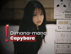 Kantor ODD ATELIER Milik Jennie BLACKPINK Kebongkar, Desainnya Mewah