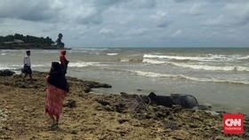 Bangkai Hiu di Pamekasan Jadi Spot Foto Imbas Tak Kunjung Dievakuasi