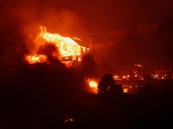Kebakaran Hutan Chile Picu Keadaan Darurat, 10 Orang Dikhawatirkan Tewas