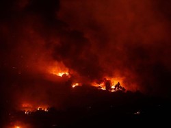 Ngeri, Api Zombie Tetap Menyala di Musim Dingin