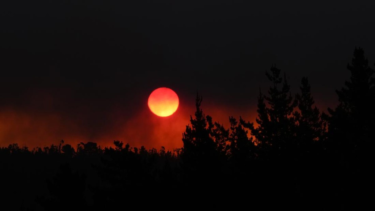 FOTO: Horor Kebakaran Hutan Mematikan Landa Chile