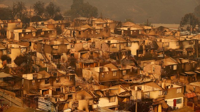 FOTO: Horor Kebakaran Hutan Mematikan Landa Chile