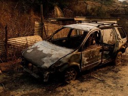 Bertambah Lagi, 112 Orang Tewas dalam Kebakaran Hutan di Chile