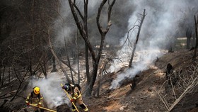 FOTO: Chile Porak-poranda Akibat Kebakaran Hutan, 112 Orang Tewas
