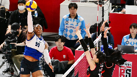 Link Live Streaming Pink Spiders vs Red Sparks di Liga Voli Korea