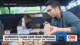 VIDEO: Sehari Menjadi Produsen Ikan Cue !!