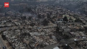 VIDEO: Penampakan Kondisi Hutan Chile Pasca Kebakaran Dahsyat