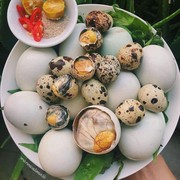 5 Makanan Tradisional Paling Aneh dari Berbagai Negara, Berani Coba?