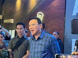 TKN soal Ahok Kritik Jokowi-Gibran: Mulutnya Nggak Bisa Beri Kesejukan