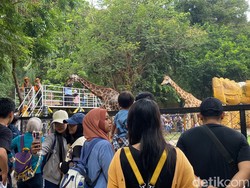 Ribuan Orang Serbu KBS di Hari Pertama Long Weekend Imlek