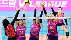 Top Skor Liga Voli Korea: Megawati Disalip Ratu Voli, Gia Menempel