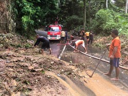Hujan Deras, Longsor-Pohon Tumbang Ganggu Lalu Lintas di Gianyar
