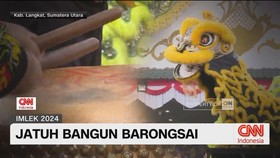 VIDEO: Jatuh Bangun Barongsai