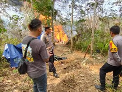 Sumur Minyak Ilegal di Jambi Terbakar, 1 Pekerja Tewas