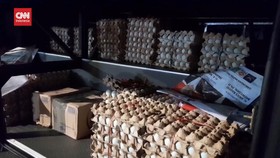VIDEO: Bawa 10 Ribu Telur Asin, Ribuan Massa Amin Brebes Datang ke JIS