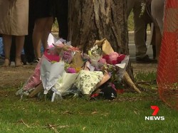 Kabar Duka, Mahasiswi Indonesia Meninggal Tertimpa Pohon di Australia