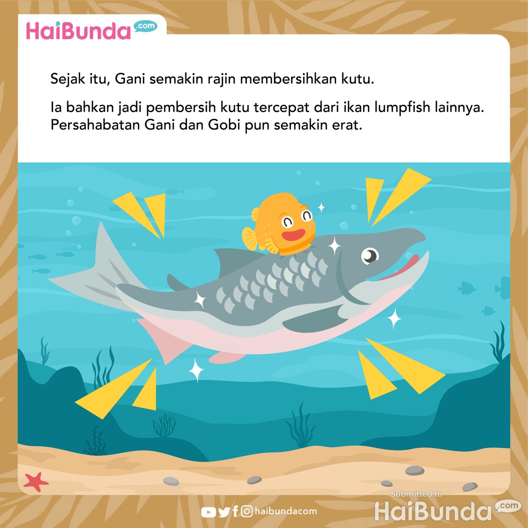Cerita Fabel: Persahabatan Ikan Salmon & Lumpfish