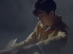 8 Aktor/Aktris Terkenal Bintang MV IU