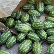 5 Manfaat Cucamelon, Buah Mungil Mirip Mentimun dan Semangka yang Kaya Khasiat