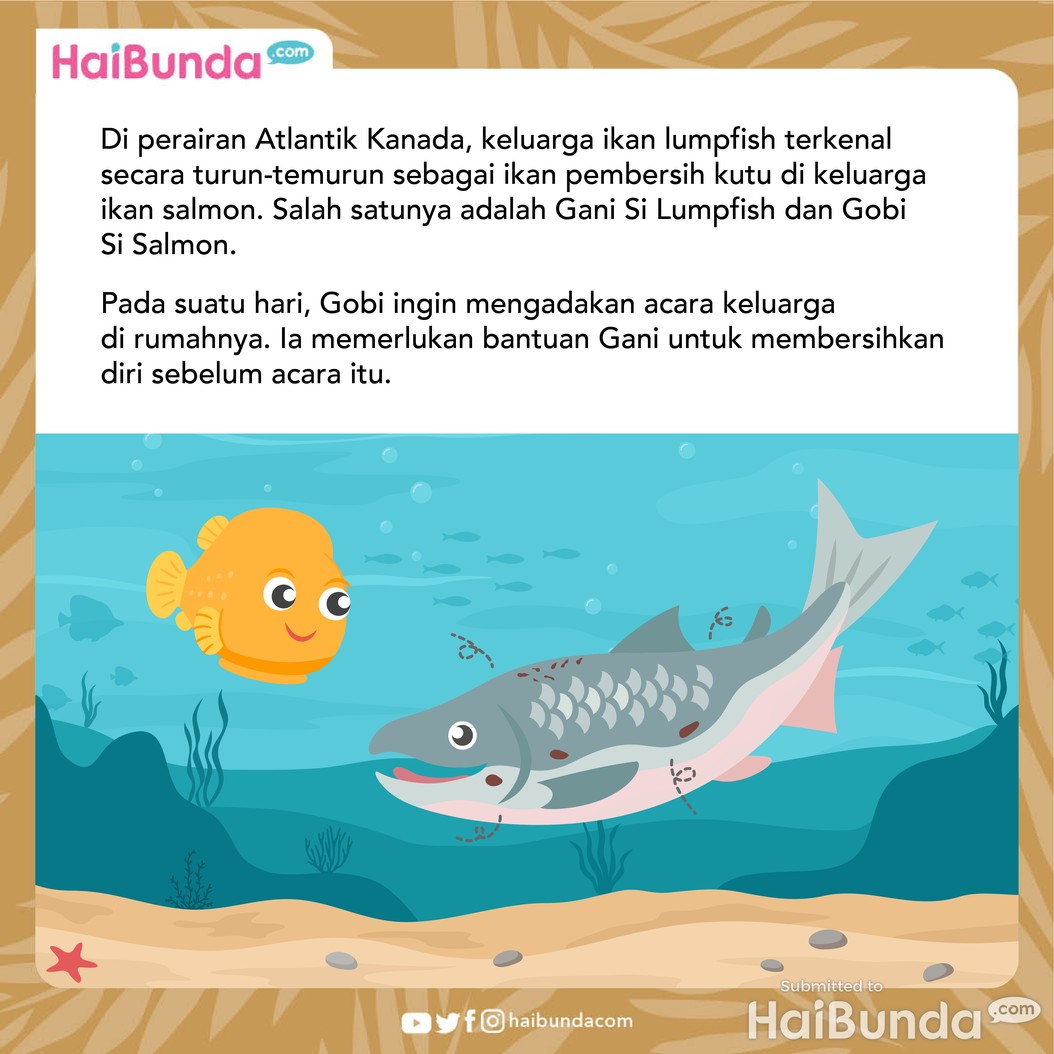 Dongeng Anak: Persahabatan Ikan Salmon & Lumpfish