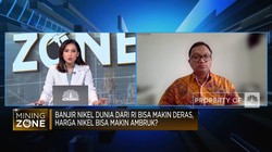 Harga Nikel Dunia Bakal Ambruk Efek Kebanjiran Nikel RI, Benarkah?