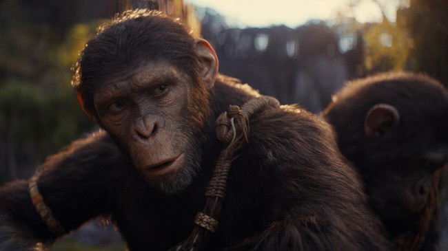 Kelanjutan Epik "Planet of the Apes" Raih Apresiasi Tinggi dalam "Kingdom of the Planet of the Apes"