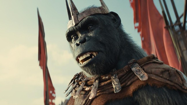 Review film: Kingdom of the Planet of the Apes berhasil menjadi awal menjanjikan bagi waralaba yang tengah merintis era baru.