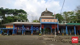 Yang Tersisa di Medan Zoo, Potret Buram Pengelolaan Satwa di Indonesia
