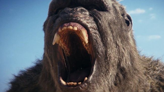5 choses que vous devez savoir avant de regarder Godzilla x Kong : Le Nouvel Empire