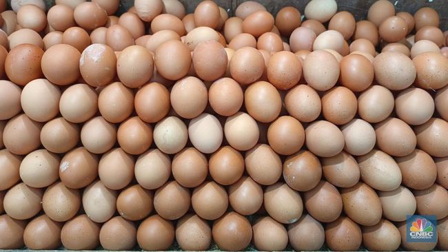 Waspada! Konsumsi Telur Berlebihan Dapat Menyebabkan Kolesterol Meningkat, Begini Penjelasannya