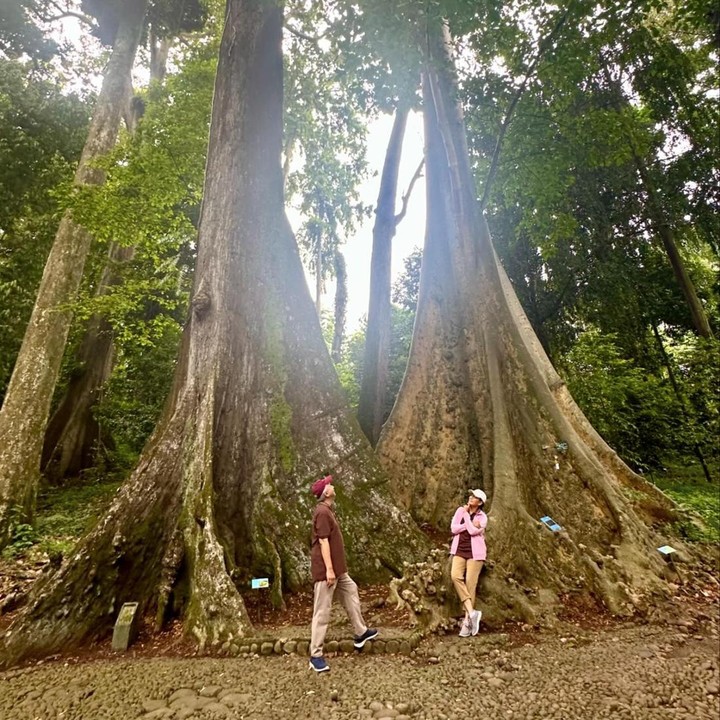 <p>Pasangan yang menikah pada tahun 1988 silam ini menghabiskan quality time dengan mengunjungi Kebun Raya Bogor. Di sana, mereka melihat salah satu spesies flora yang unik. (Foto: Instagram @smindrawati)</p>