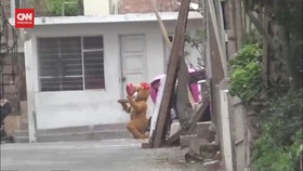 VIDEO: Polisi Peru Nyamar Jadi Teddy Bear Tangkap Pengedar Narkoba