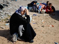 Wabah Kutu Hantui Gaza, Banyak Wanita Terpaksa Potong Pendek Rambut