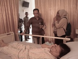 Anggota KPPS di Bangka Digigit Ular Saat Hendak Antar Segel ke TPS