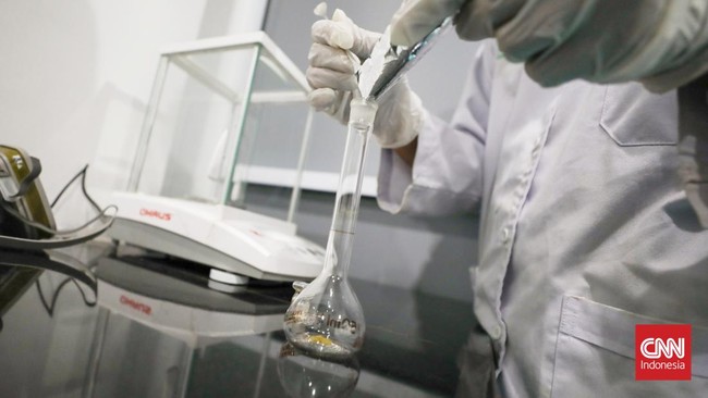 Hasil penelitian awal yang dilakukan oleh BRIN mengungkap kratom memiliki sifat analgesik yang cukup baik dan tidak jauh berbeda dengan morfin.